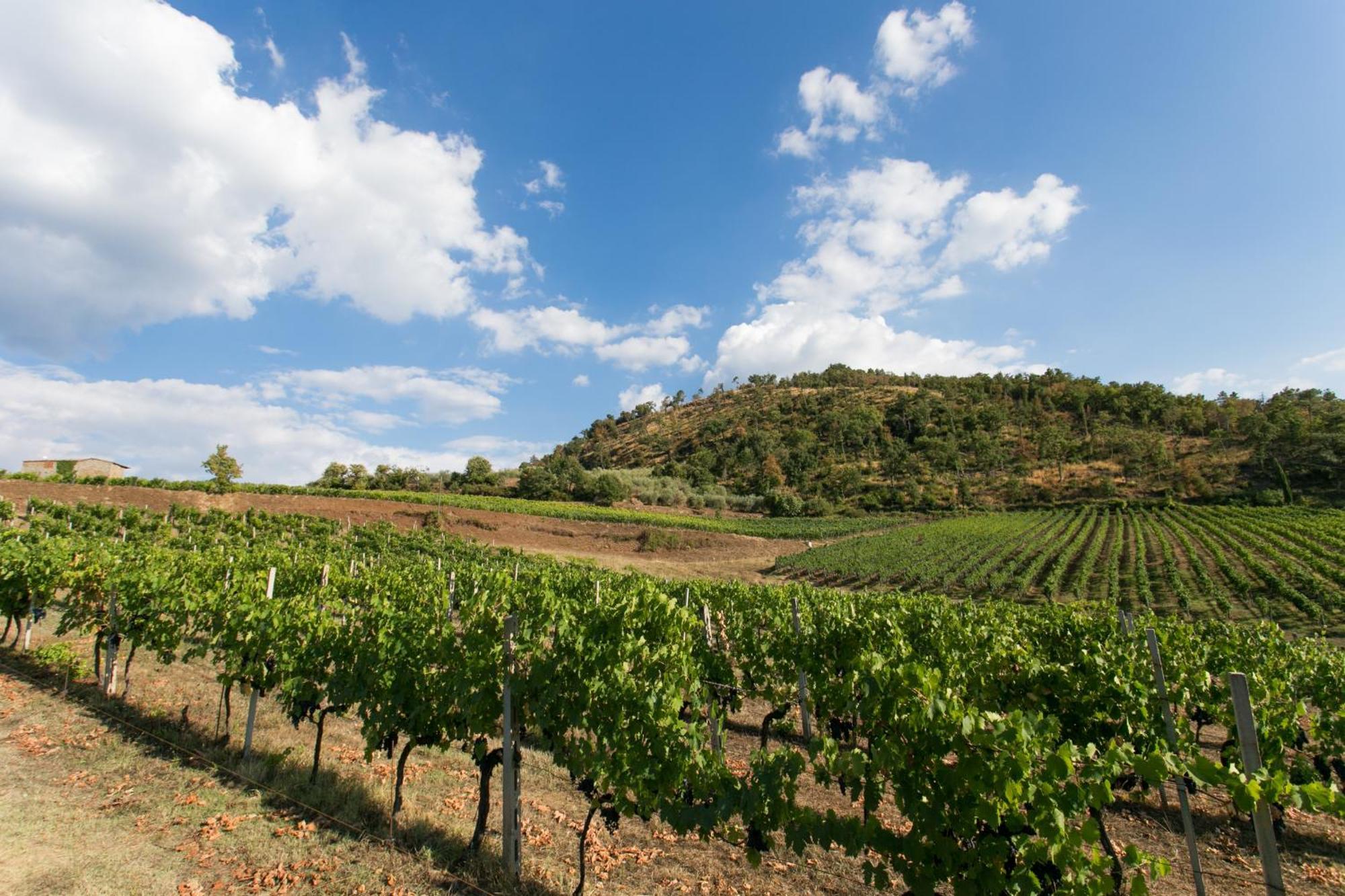 Villa Rosano Greve in Chianti Exterior photo